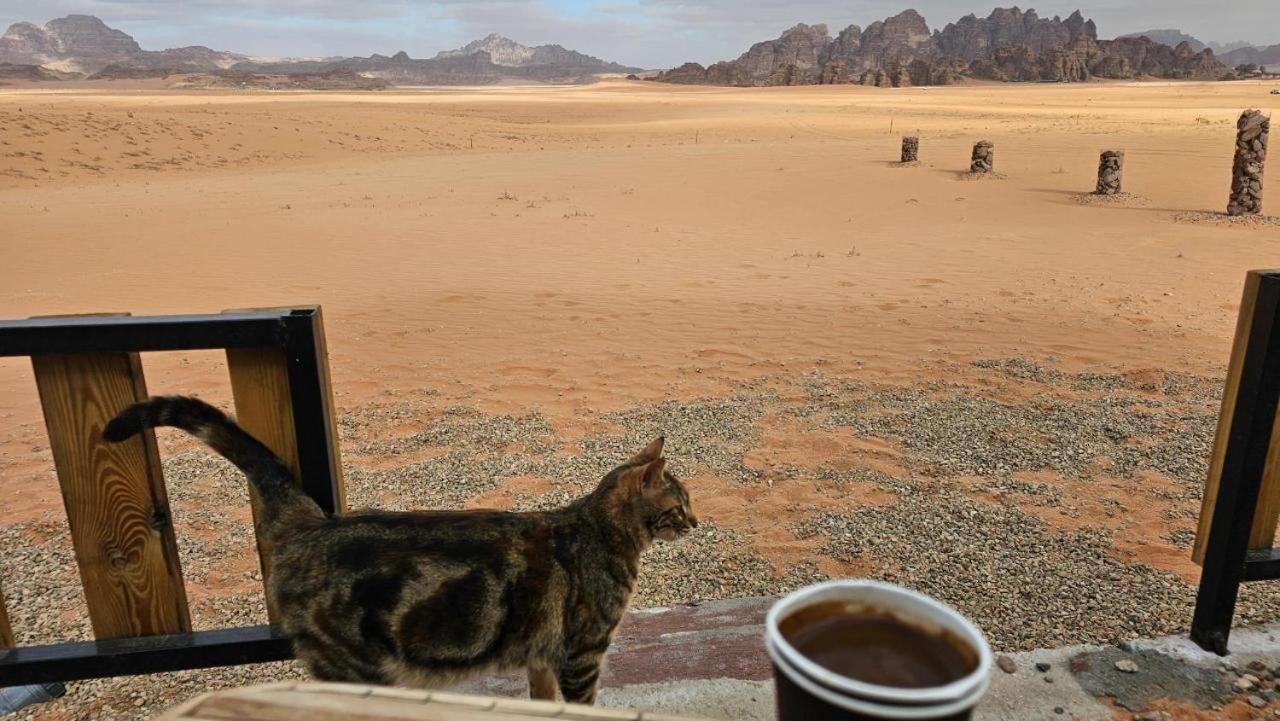 Hotel Bedouin Life Camp Wadi Rum Zewnętrze zdjęcie